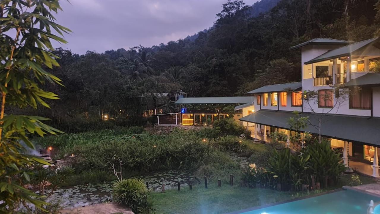 Explore Sinharaja Rain Forest Tour Camp Dombagoda Exteriör bild