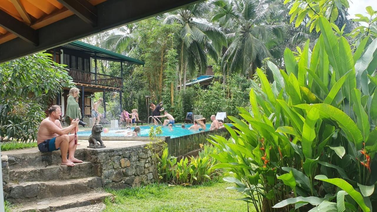 Explore Sinharaja Rain Forest Tour Camp Dombagoda Exteriör bild