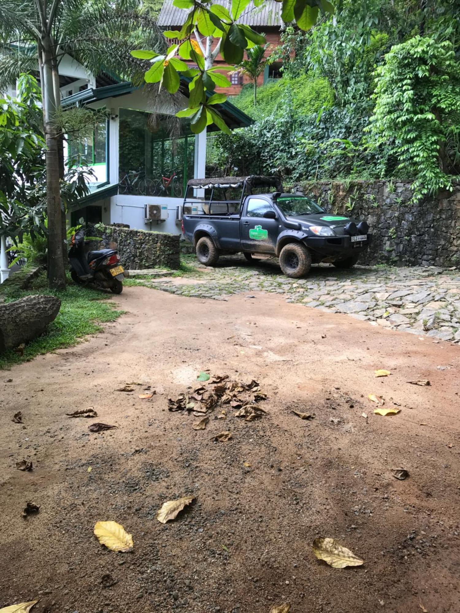 Explore Sinharaja Rain Forest Tour Camp Dombagoda Exteriör bild