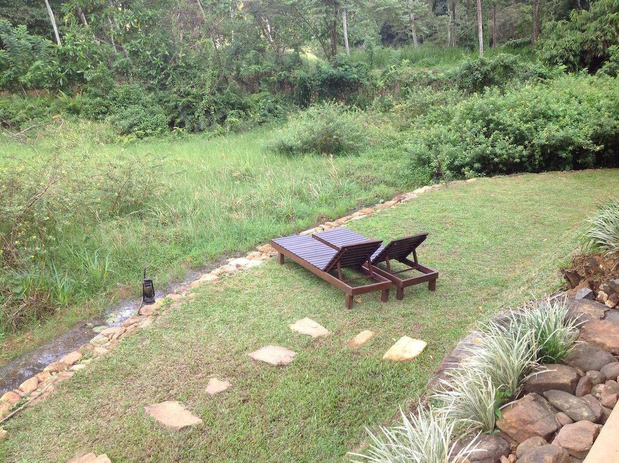 Explore Sinharaja Rain Forest Tour Camp Dombagoda Exteriör bild