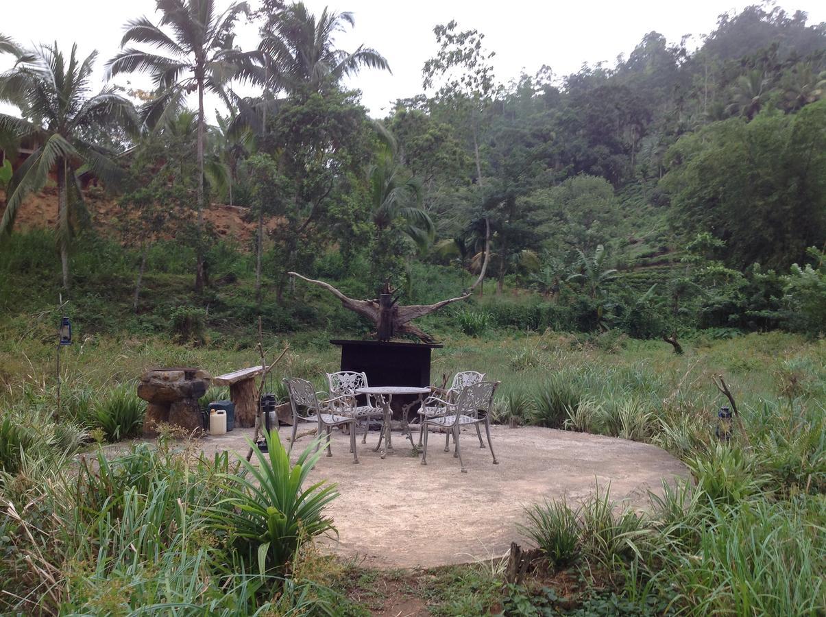 Explore Sinharaja Rain Forest Tour Camp Dombagoda Exteriör bild