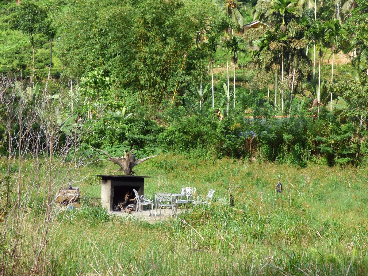 Explore Sinharaja Rain Forest Tour Camp Dombagoda Exteriör bild