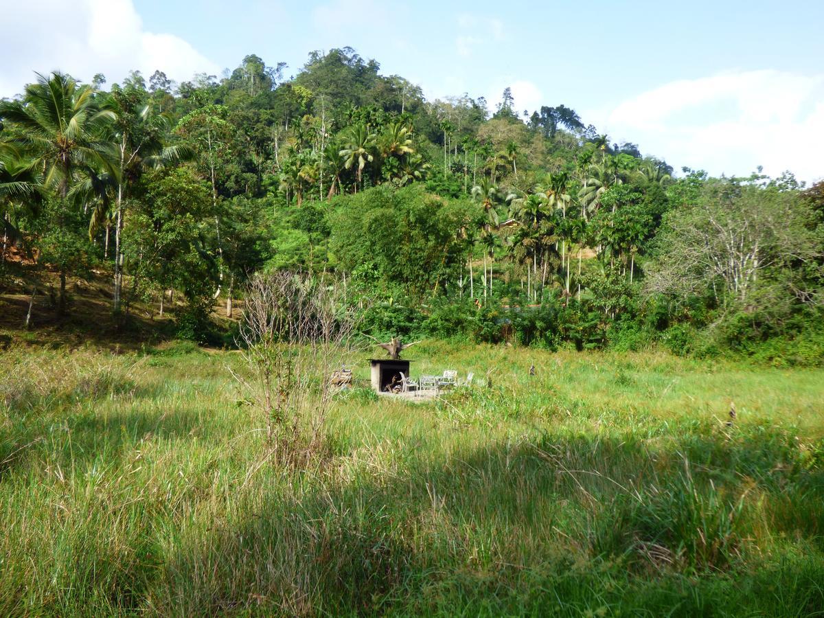 Explore Sinharaja Rain Forest Tour Camp Dombagoda Exteriör bild