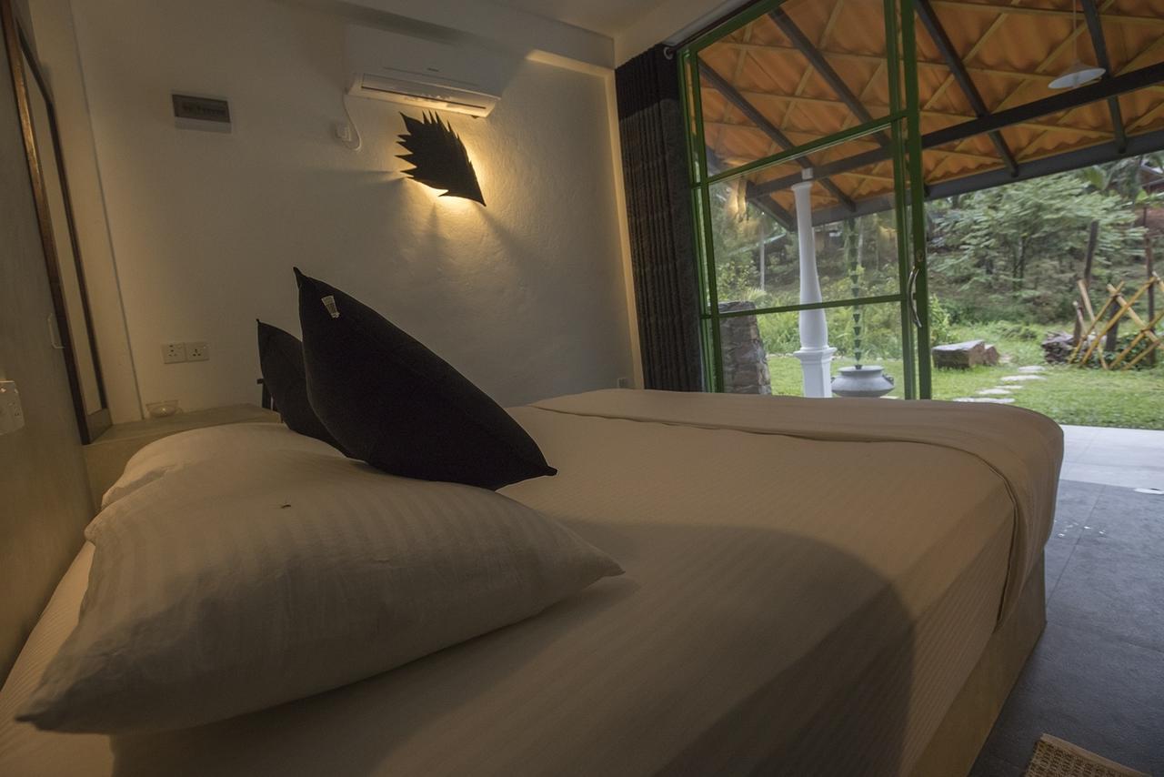 Explore Sinharaja Rain Forest Tour Camp Dombagoda Exteriör bild
