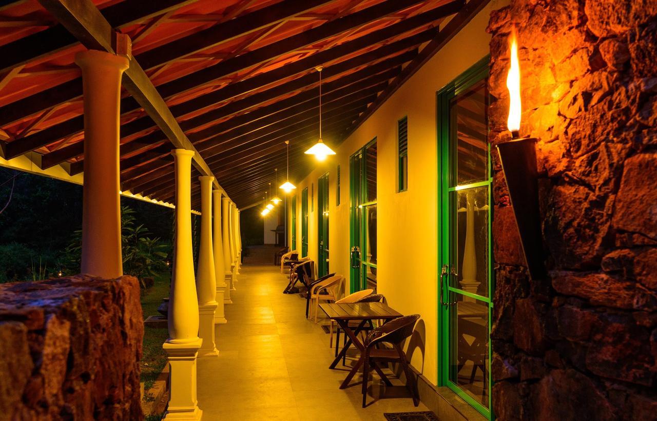 Explore Sinharaja Rain Forest Tour Camp Dombagoda Exteriör bild