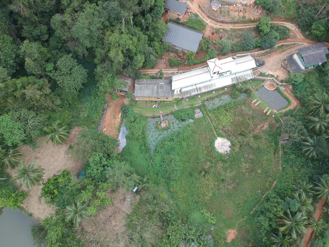 Explore Sinharaja Rain Forest Tour Camp Dombagoda Exteriör bild